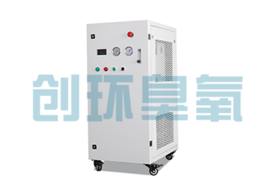 宝坻石斑鱼养殖水质调控完整指南：臭氧发生器配置与操作步骤