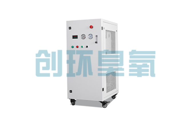 宝坻比传统换水更高效？臭氧发生器在石斑鱼养殖中的水质净化原理解析